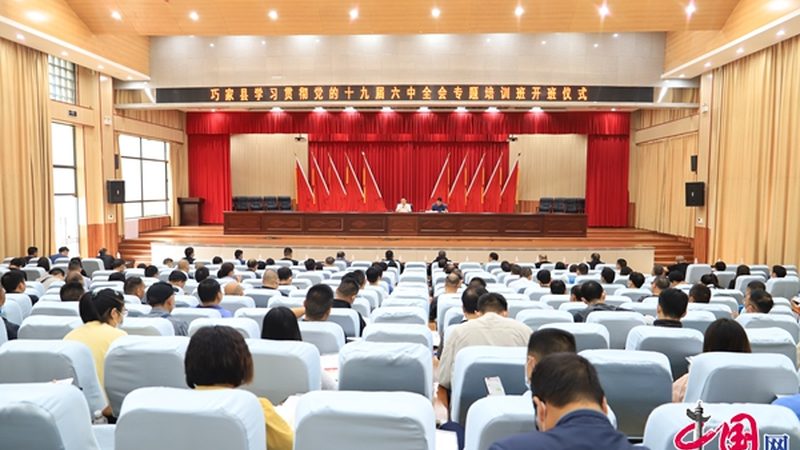线上技能培训平台课程分类解析：如何选择适合自己的课程