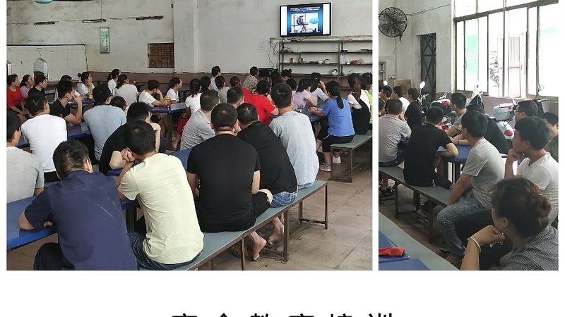 叉车证与挖掘机证：含金量对比解析